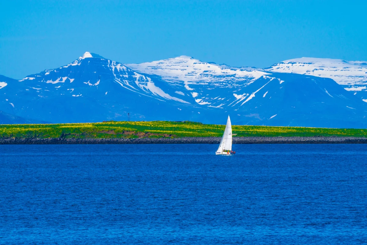 A white sailboat on blue water beneath snow-streaked mountains in Iceland